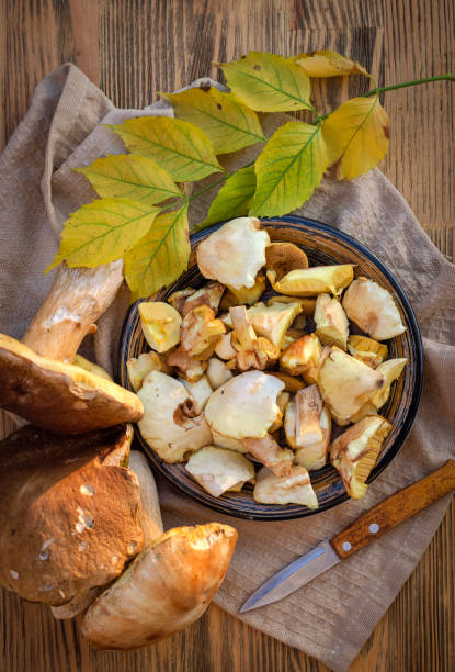 istock Fresh Forest Mushrooms in a Plate 1341431917