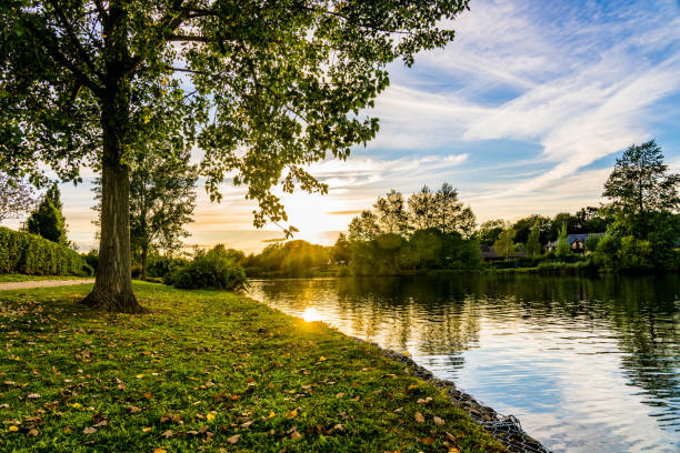 furzton lake in milton keynes - landscape nature meadow river stock-fotos und bilder