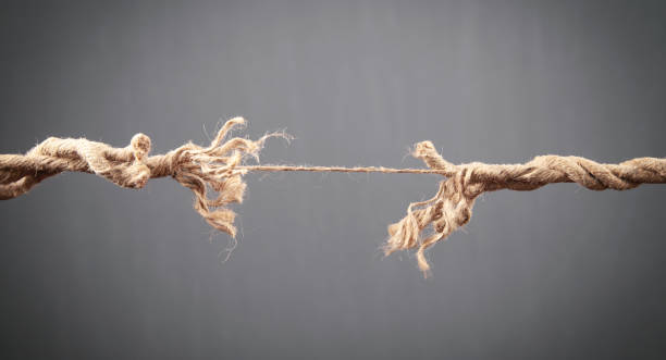 istock Frayed rope about to break on grey background. Risk 1341433814
