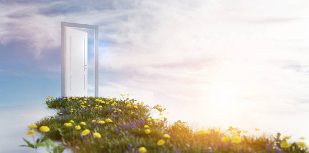istock Green grass way to open door on sunny sky. 1341436417