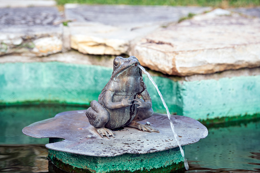 Close-up of water fountain