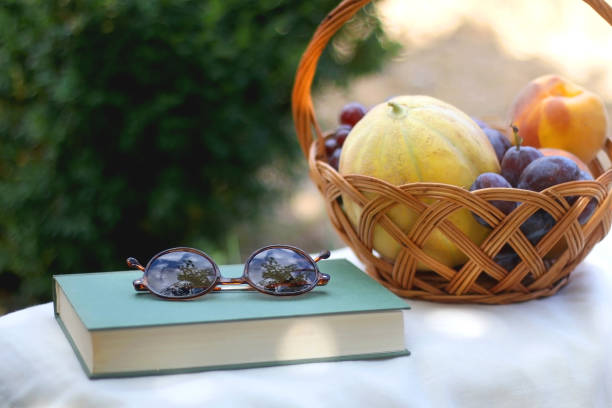 istock Picnic Basket, Book and Sunglasses 1341436736