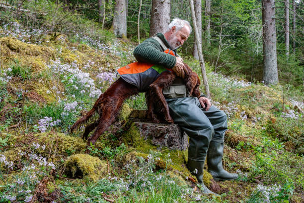 istock Hunter with his dog in the mountain forest. 1341437913