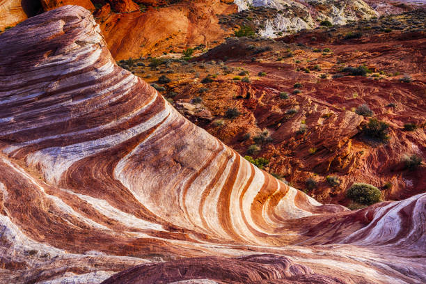 istock Fire Wave in Nevada in the USA 1341440818