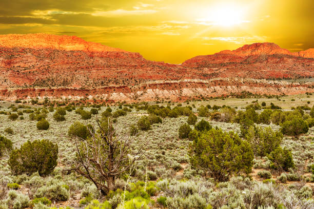 istock Sunset over the mountain at Valley of Fire 1341440833