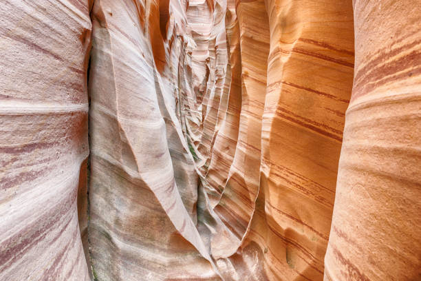 istock Zebra Canyon in Utah in the USA 1341441284
