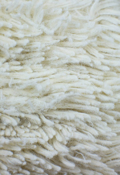 istock White cotton towel or carpet fluffy texture background. Close up, macro photo. Soft focus image. 1341443022