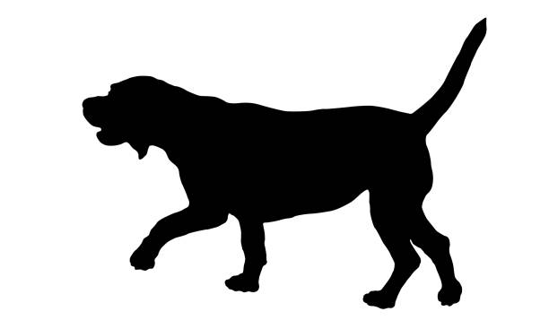 istock Black dog silhouette. Walking english beagle puppy. Pet animals. Isolated on a white background. 1341448849