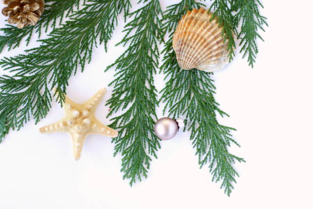 istock New Year festive congratulation card with tropic details 1341449507