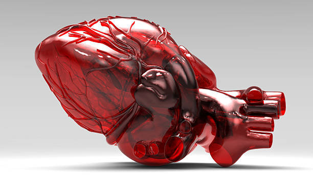 istock Model of artificial human heart 134145072