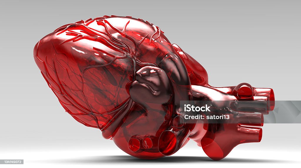 Model of artificial human heart Human Heart Stock Photo