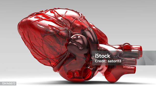 Model Of Artificial Human Heart Stock Photo - Download Image Now - Human Heart, Glass - Material, Anatomy