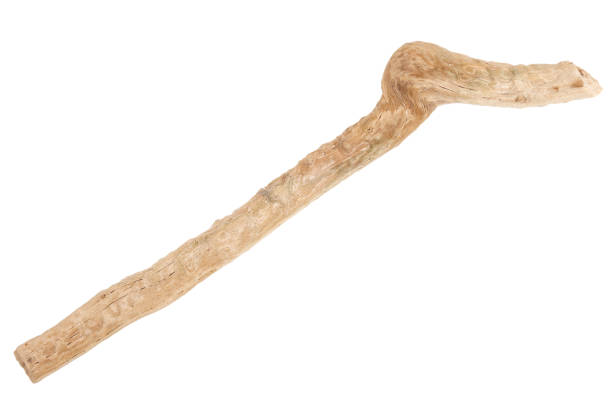 istock Piece of driftwood isolated on white 1341452307