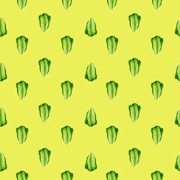 Vector illustration of Seamless pattern salad Romano on yellow background. Minimalism ornament with lettuce.