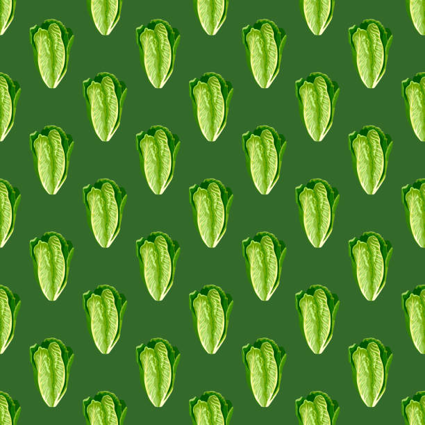 Seamless pattern salad Romano on bright green background. Minimalism ornament with lettuce. Seamless pattern salad Romano on bright green background. Minimalism ornament with lettuce. Geometrical plant template for fabric. Design vector illustration. romano cheese stock illustrations