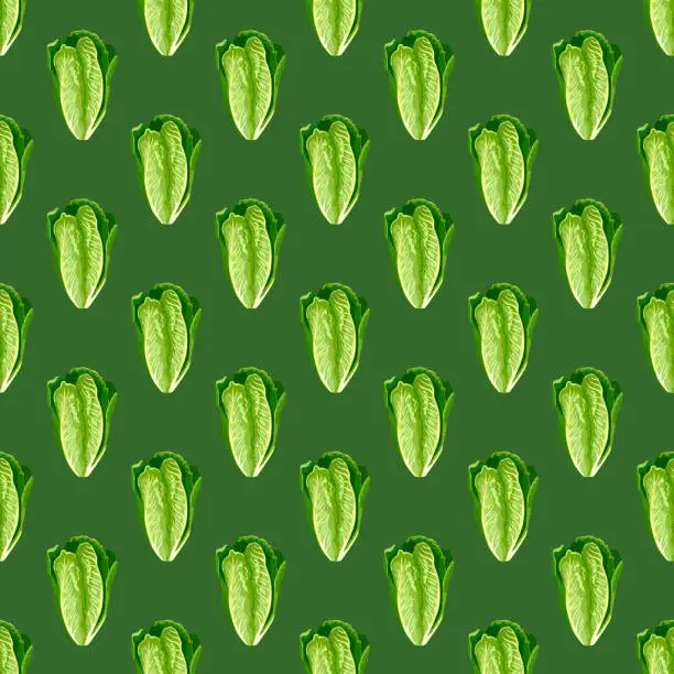 Vector illustration of Seamless pattern salad Romano on bright green background. Minimalism ornament with lettuce.