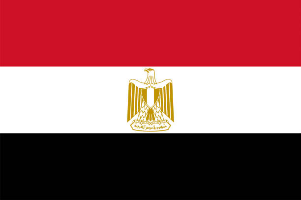 Egypt flag Egypt national flag in North Africa egypt stock illustrations