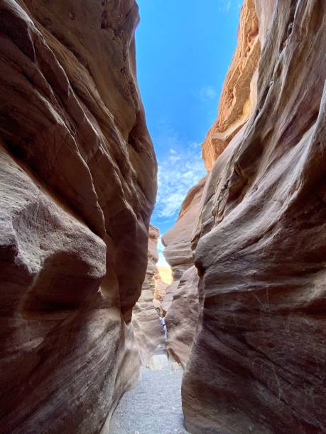 istock Corridor in the canyon 1341456248