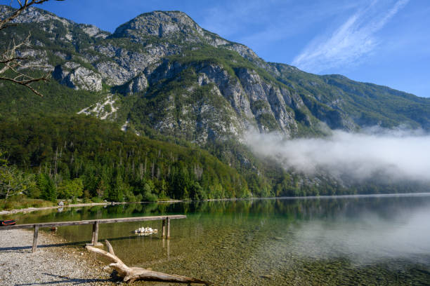 istock Early morning fog on a lake 1341456349