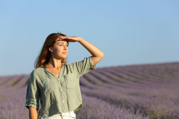 femme contemplant un champ de lavande protégeant du soleil - front view photos et images de collection