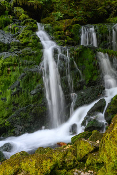 istock waterfall in the Triglev National Park 1341461861