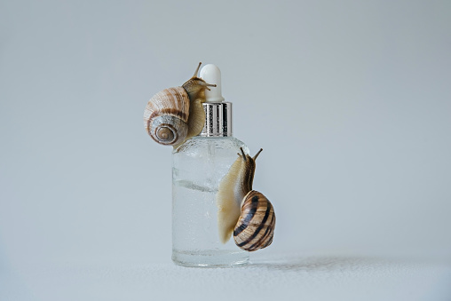 Snails are crawling on a glass bottle of face serum with snail mucin. White background.