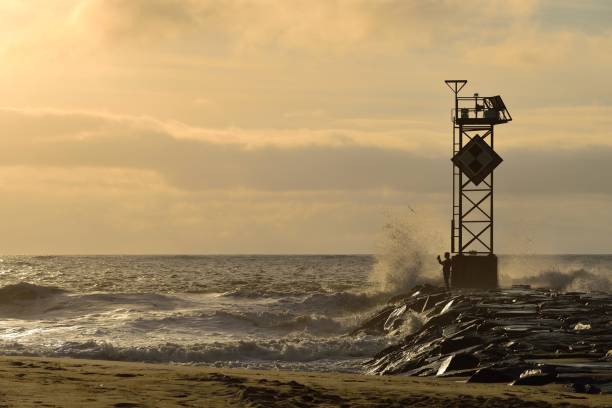 tropické stromové vlny - atlantského oceánu fotky - stock snímky, obrázky a fotky