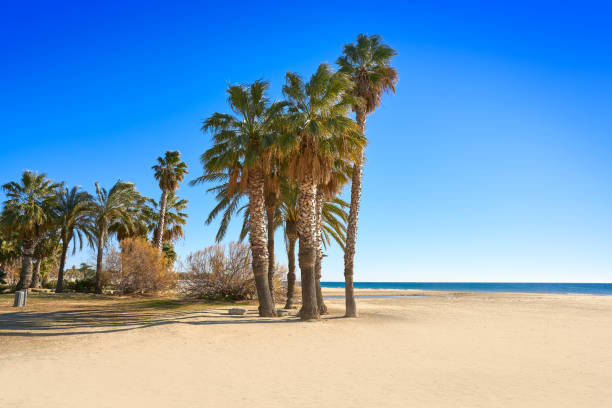 Platja Prat d'En Fores beach in Cambrils Platja Prat d'En Fores beach in Cambrils Tarragona at Costa Dorada of Catalonia cambrils stock pictures, royalty-free photos & images