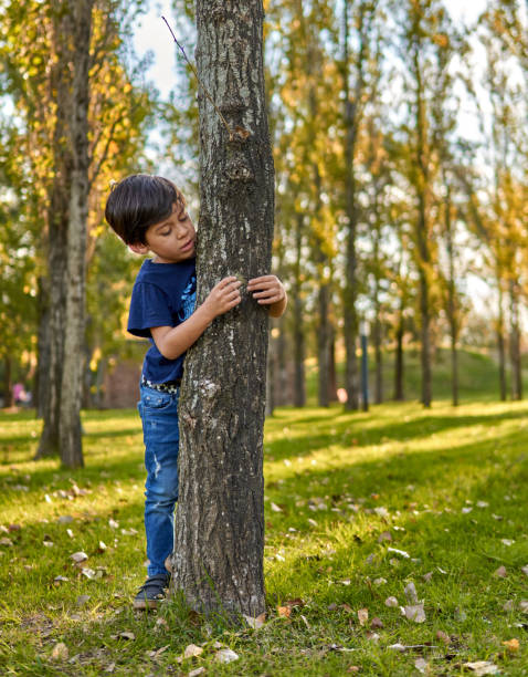 istock Brunette child playing in the forest in autumn hugging a tree. blurred background, vertical and copy space 1341464894