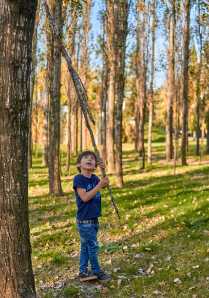 hispanic boy playing alone looking up holding a tree branch in the middle of the forest. fall time. unfocused background. vertical