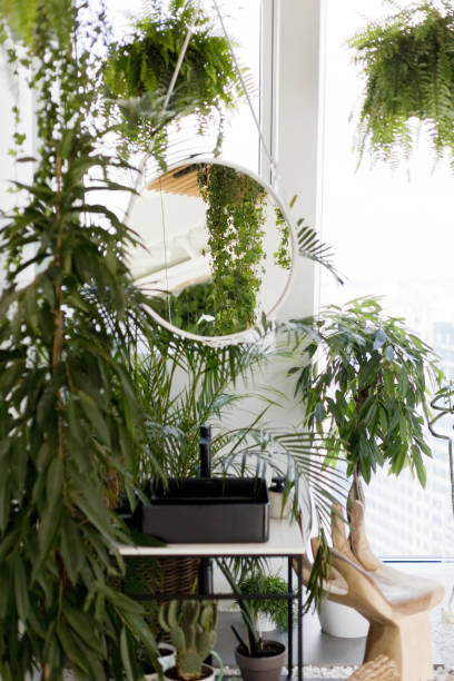 istock Black vessel sink, mirror and plants 1341464994