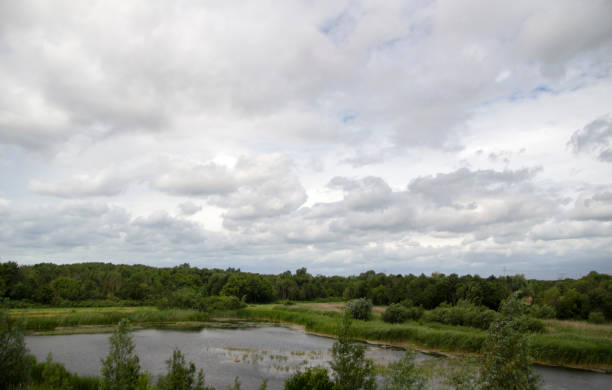 istock Small Lake Surrounded By Trees At Diemen The Netherlands 1341466865