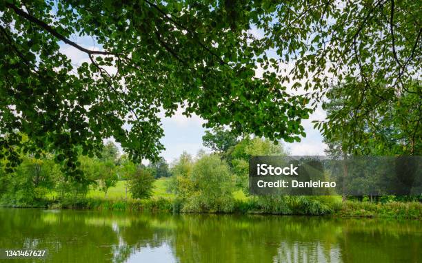 View Across Lake Flanked By Trees Under Bright Sky In Rural Countryside In Kilnwick Percy Uk Stock Photo - Download Image Now