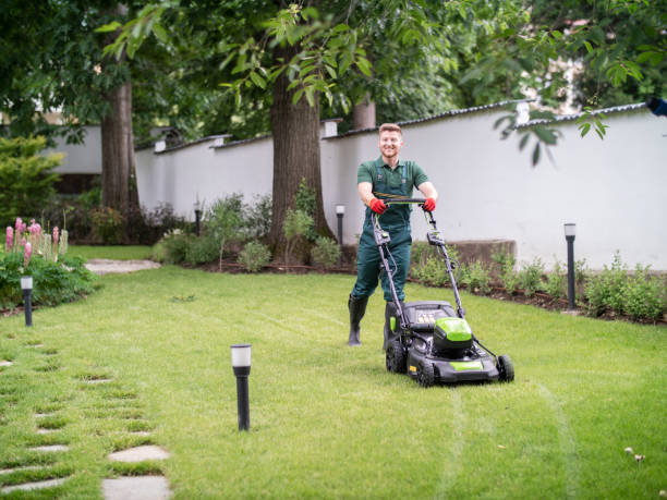 istock Professional Gardener Moaning Lawn 1341467691