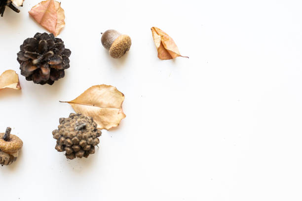 istock Autumn composition. Pattern made of autumn leaves, acorn, pine cones. Flat lay, top view. 1341468992