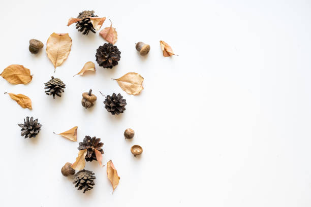 istock Autumn composition. Pattern made of autumn leaves, acorn, pine cones. Flat lay, top view. 1341469061
