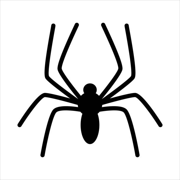 spider icon spider icon. Black Spider icon isolated on white background. simple flat style illustration spider tribal tattoo stock illustrations