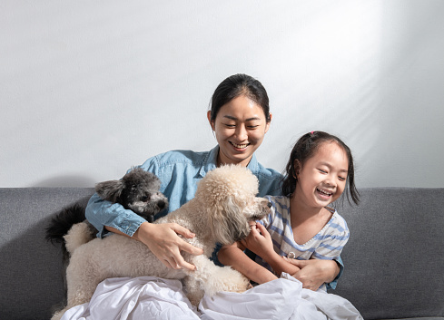 Young beautiful mother and little cute daughter have fun playing with dogs on the home sofa. Image of happy girl with dog mother relaxing at home. Happy family with pet friendship and care concept.