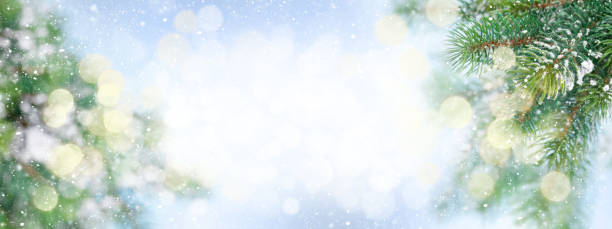 istock Christmas greeting card with fir tree branches covered by snow 1341470539
