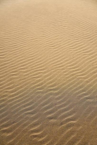 istock Dunes beach sand texture in Costa Dorada 1341472709
