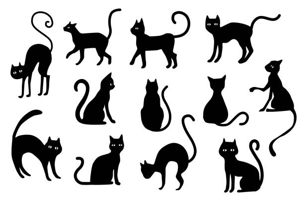 ilustraciones, imágenes clip art, dibujos animados e iconos de stock de silueta de los gatos de halloween. siluetas de gatos negros aisladas sobre fondo blanco - horror ilustraciones