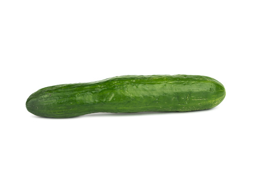 fresh greenhouse cucumber