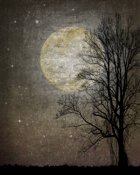 istock Fantasy Moon, Tree Silhouette, Stars - Sepia Toned Night Sky 1341475359