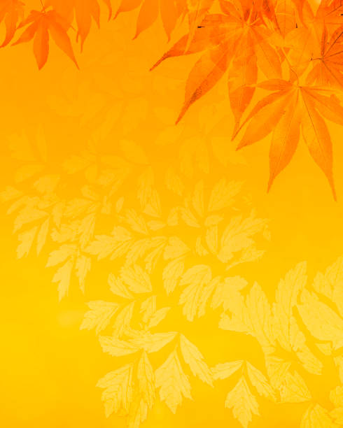istock Autumn Leaves Orange Background 1341475756