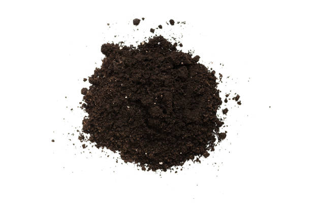 istock Black land for plant isolated on white background. 1341480582