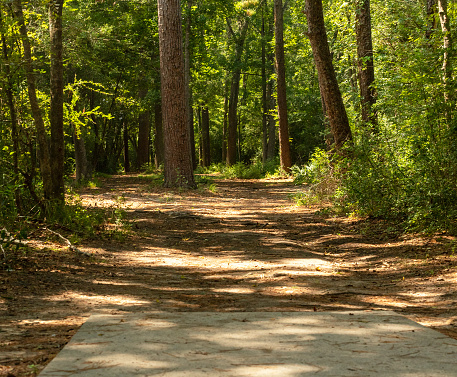 Pathway leading into a wooded are at the park
