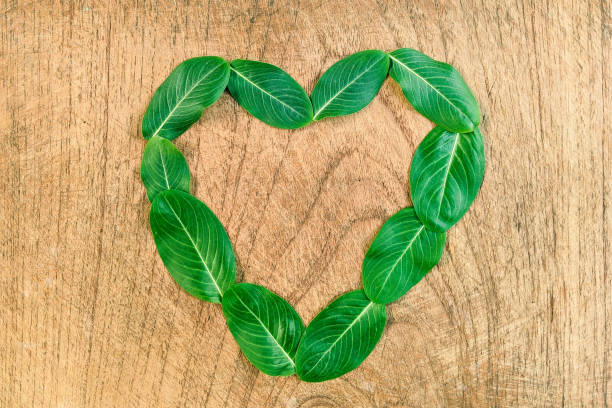 istock the leaves form heart on old wooden 1341482017