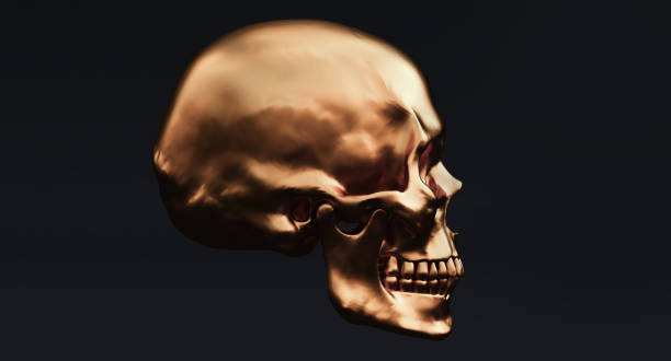 istock 3D Set of Human skulls isolated on blackbackground, 3d render 1341482554