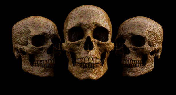 istock 3D Set of Human skulls isolated on blackbackground, 3d render 1341482609
