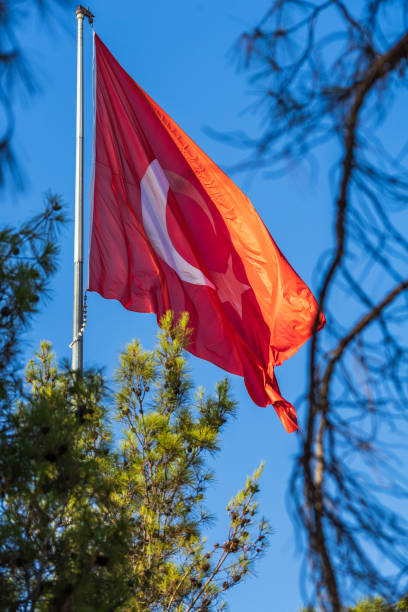 istock Turkey flag waving in the wind against a blue sky background. 1341482776